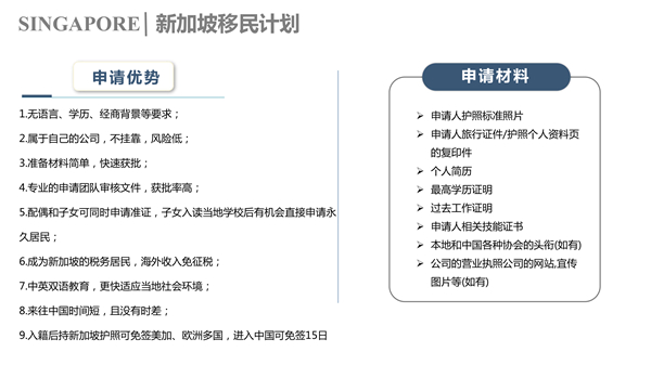 新加坡自雇計(jì)劃P4.jpg